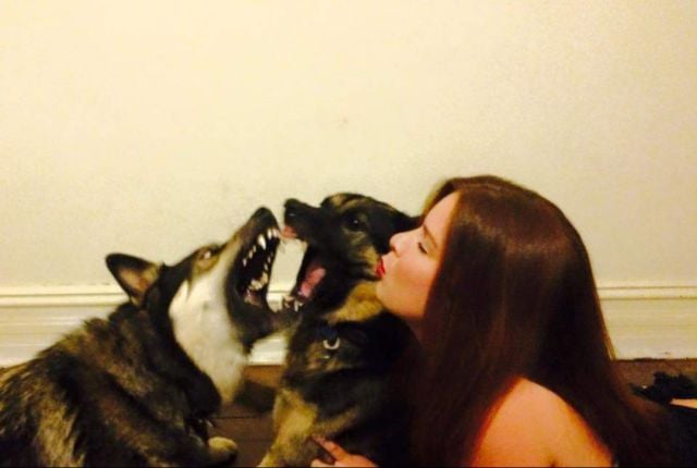 daily picdump 92 pics 78.html - 92 HD Photos | Premium Gallery 2015