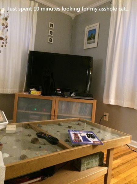 daily picdump 92 pics 78.html - 92 HD Photos | Premium Gallery 2015