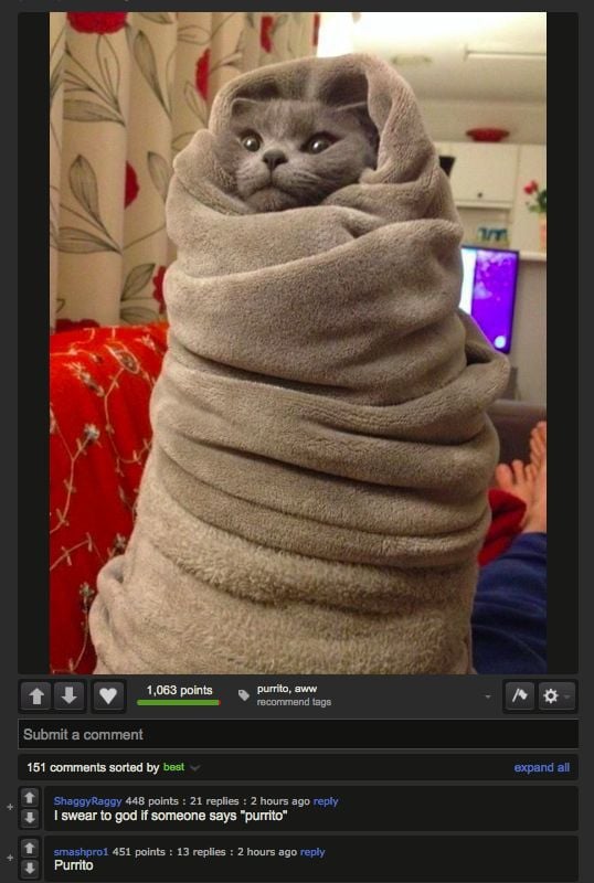 daily picdump 92 pics 78.html - 92 HD Photos | Premium Gallery 2015