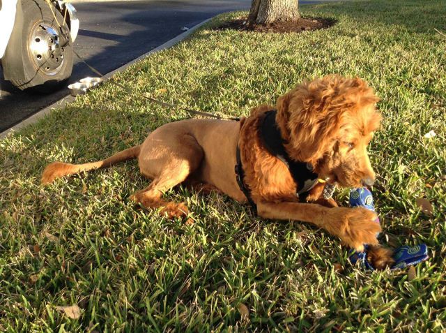 morning picdump 52 pics 3.html - 52 HD Photos | Premium Gallery 2015