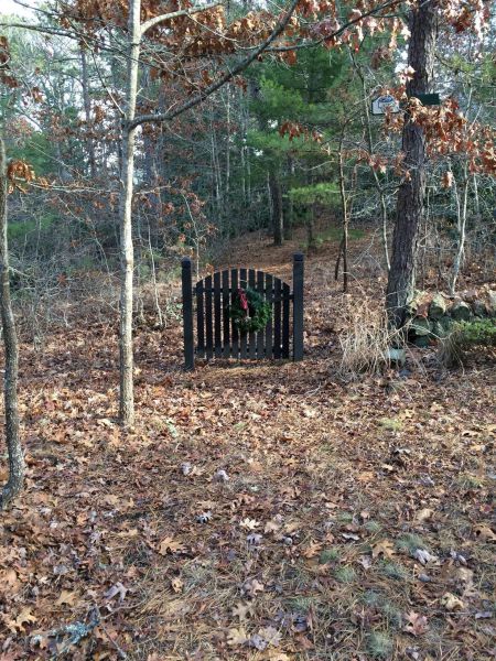 daily picdump 91 pics 14.html - 91 HD Photos | Premium Gallery 2015