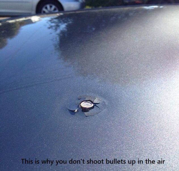 daily picdump 91 pics 14.html - 91 HD Photos | Premium Gallery 2015