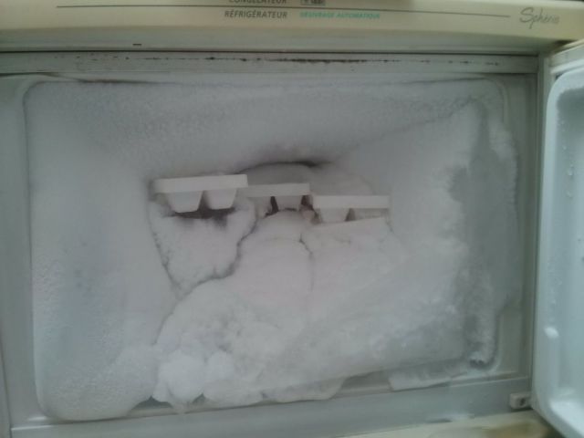 daily picdump 91 pics 14.html - 91 HD Photos | Premium Gallery 2015