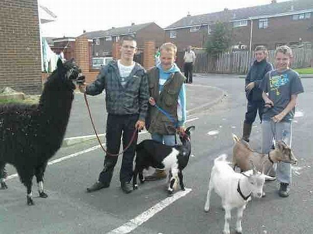 daily picdump 91 pics 14.html - 91 HD Photos | Premium Gallery 2015