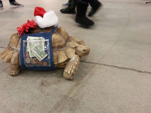 daily picdump 91 pics 14.html - 91 HD Photos | Premium Gallery 2015