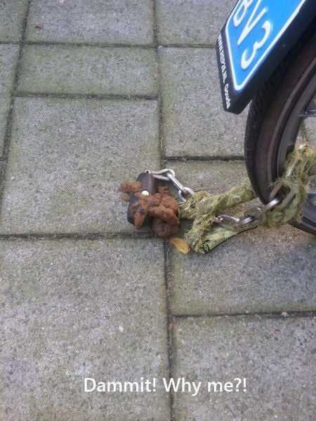 daily picdump 91 pics 14.html - 91 HD Photos | Premium Gallery 2015