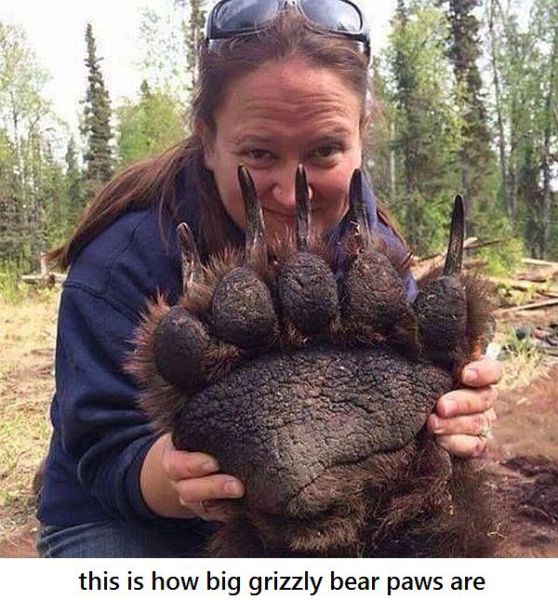 daily picdump 91 pics 14.html - 91 HD Photos | Premium Gallery 2015