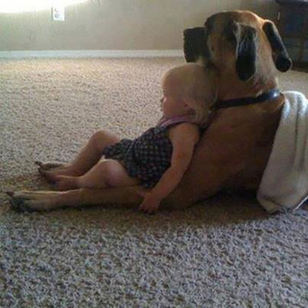 morning picdump 54 pics 36.html - 54 HD Photos | Premium Gallery 2015