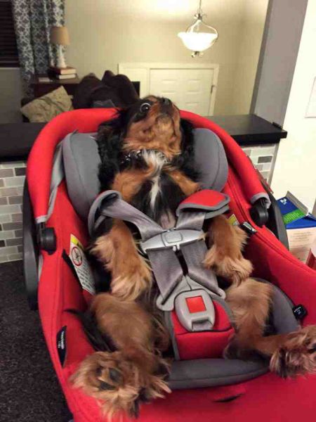 morning picdump 54 pics 36.html - 54 HD Photos | Premium Gallery 2015