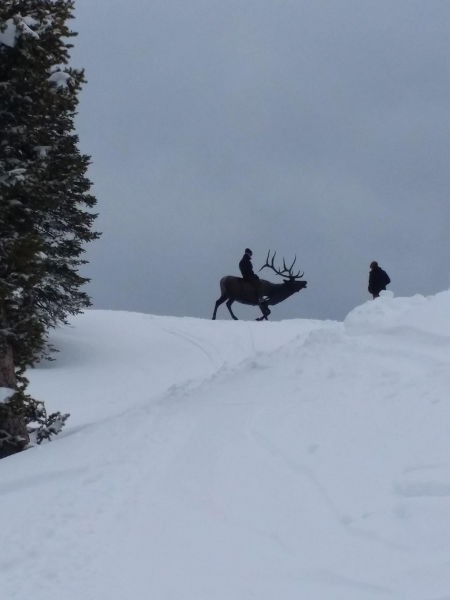 morning picdump 52 pics 1.html - 52 HD Photos | Premium Gallery 2015