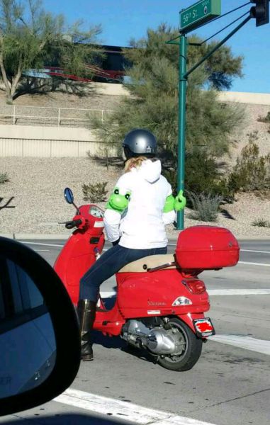 morning picdump 53 pics 43.html - 53 HD Photos | Premium Gallery 2015