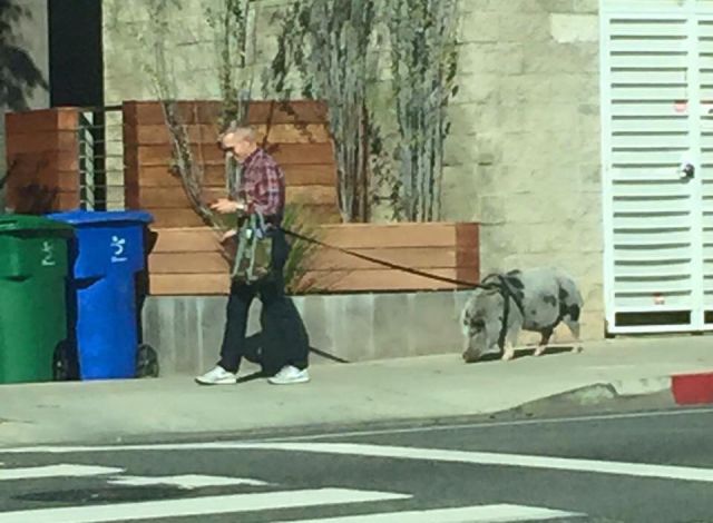 morning picdump 53 pics 43.html - 53 HD Photos | Premium Gallery 2015