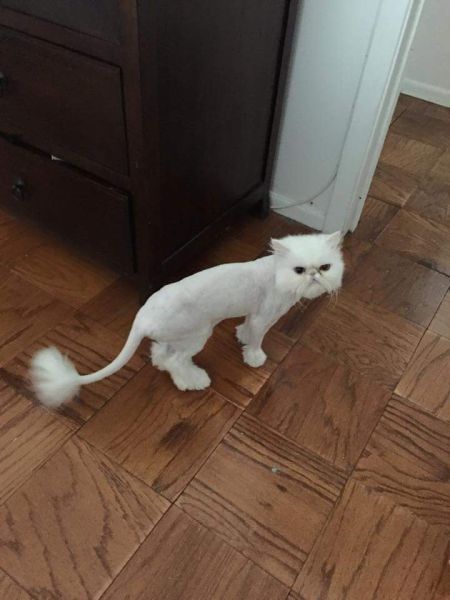 morning picdump 53 pics 43.html - 53 HD Photos | Premium Gallery 2015