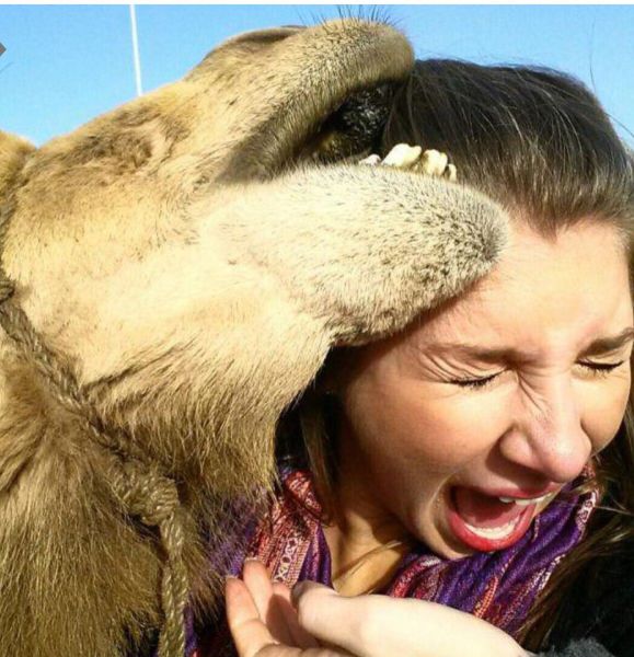 Daily Picdump