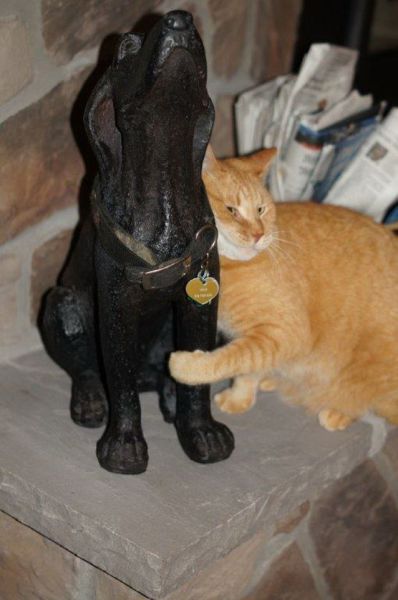 Daily Picdump
