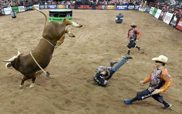 Daily Picdump