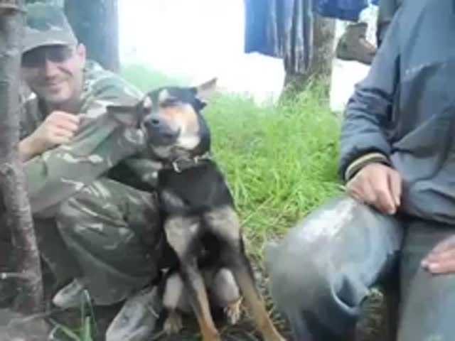 page,13,top 500 videos of the year 2015.html - 1 HD Video | Premium Gallery 2015