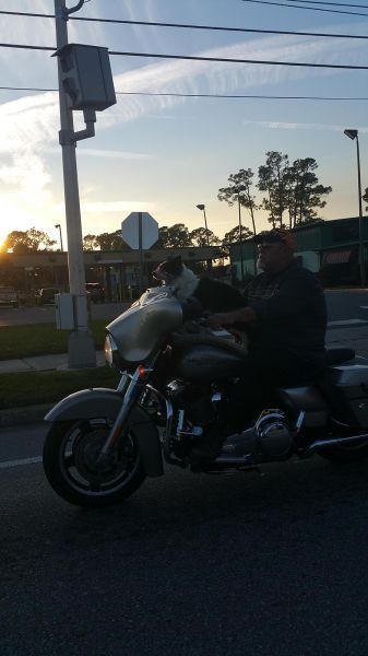 morning picdump 52 pics 18.html - 52 HD Photos | Premium Gallery 2015