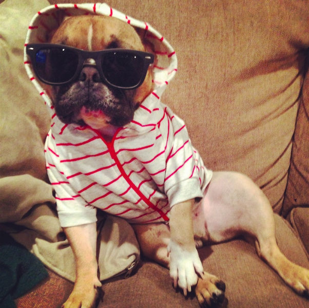 Morning Picdump