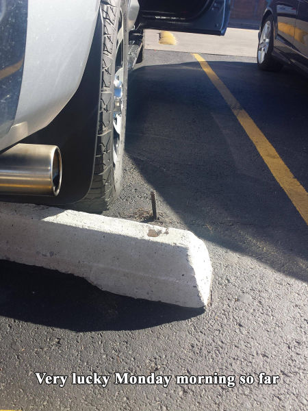 morning picdump 54 pics 21.html - 54 HD Photos | Premium Gallery 2015