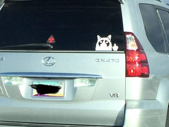 morning picdump 53 pics 1.html - 53 HD Photos | Premium Gallery 2015
