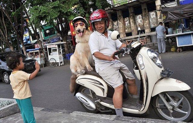 Daily Picdump
