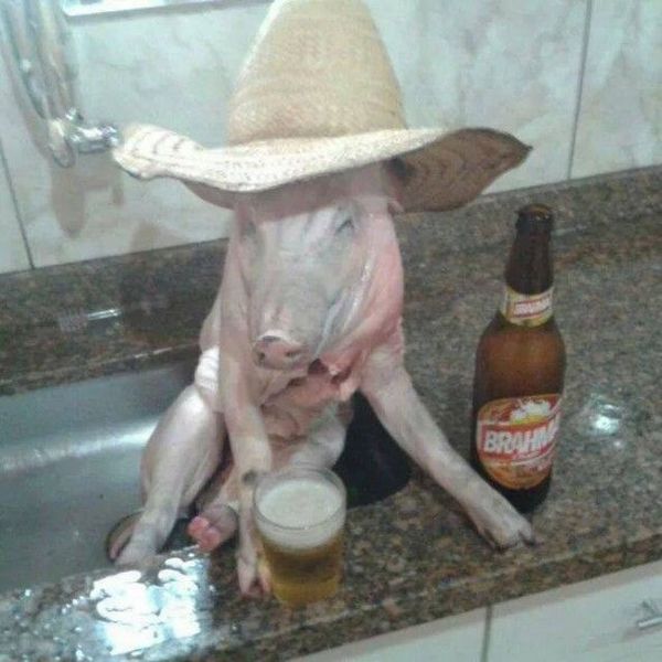 Daily Picdump