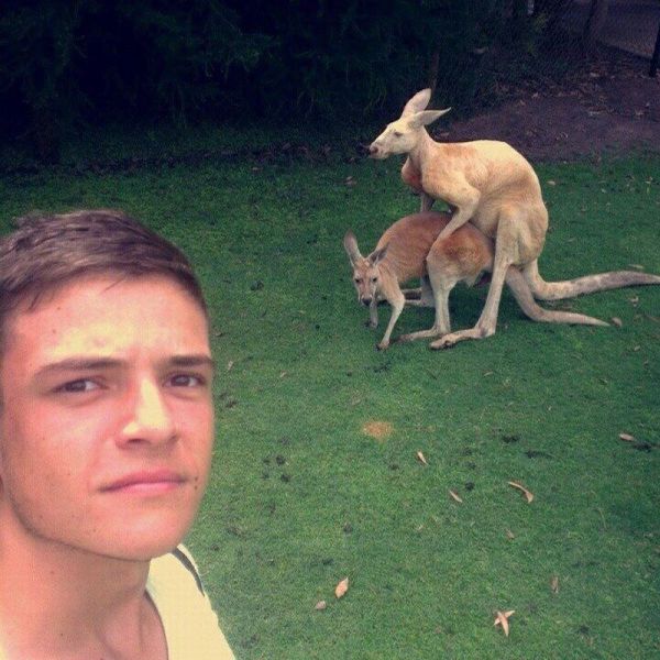 Daily Picdump