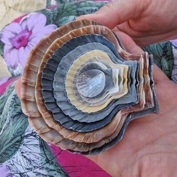 daily picdump 91 pics 8.html - 91 HD Photos | Premium Gallery 2015