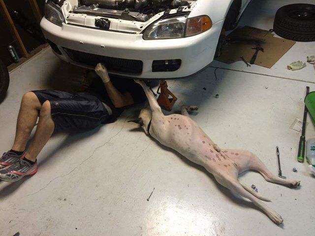 morning picdump 52 pics 26.html - 52 HD Photos | Premium Gallery 2015