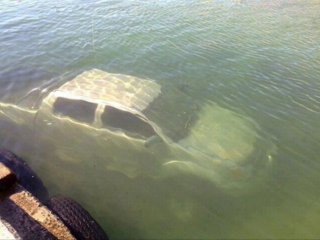 Stuff Just Looks So Much Scarier Underwater