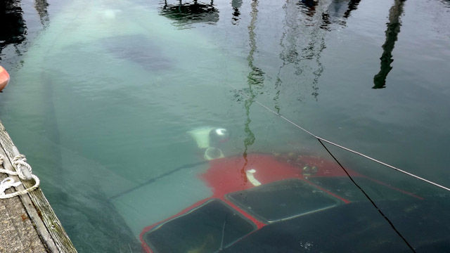 Stuff Just Looks So Much Scarier Underwater