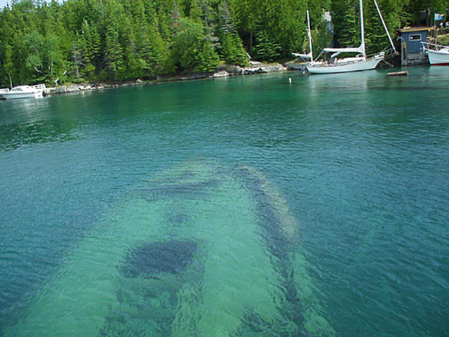 Stuff Just Looks So Much Scarier Underwater