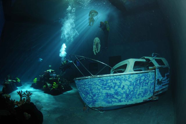 Stuff Just Looks So Much Scarier Underwater