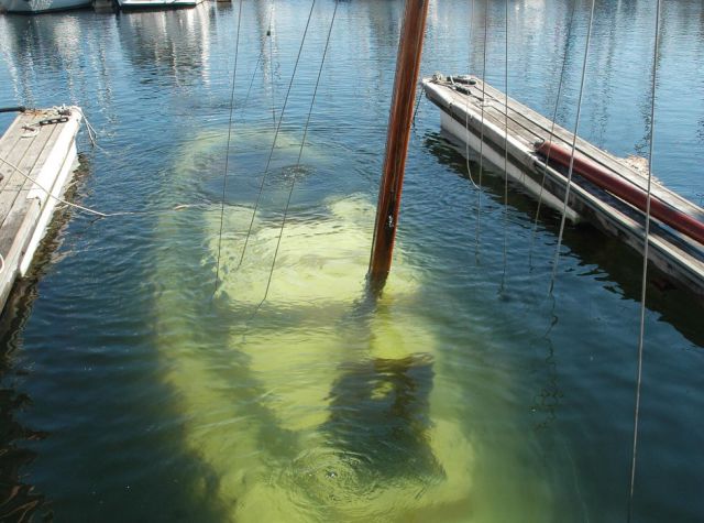 Stuff Just Looks So Much Scarier Underwater