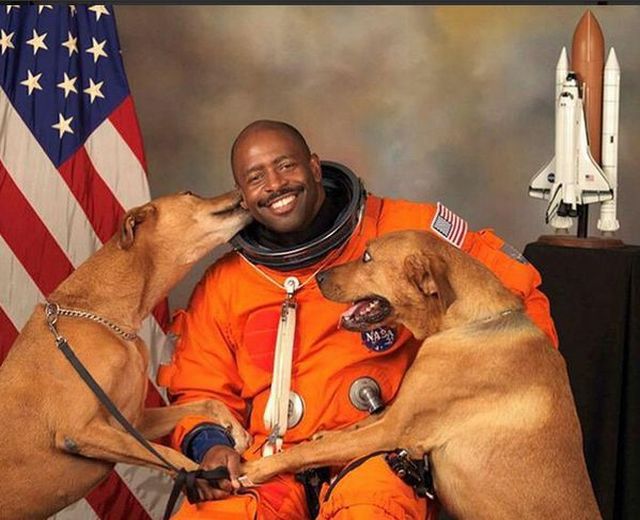 daily picdump 86 pics 8.html - 86 HD Photos | Premium Gallery 2015
