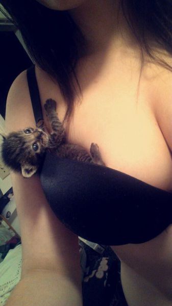 grownup corner 71 pics 22 gifs 9.html - 71 HD GIF | Premium Gallery 2015