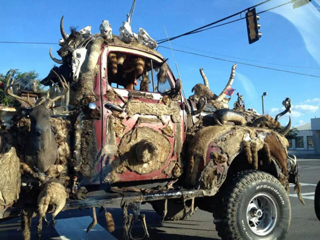 morning picdump 53 pics 18.html - 53 HD Photos | Premium Gallery 2015