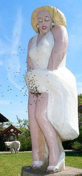 pictures for those with dirty minds 98 pics 35.html - 98 HD Photos | Premium Gallery 2015