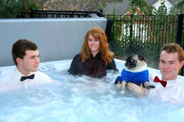 morning picdump 52 pics 46.html - 52 HD Photos | Premium Gallery 2015