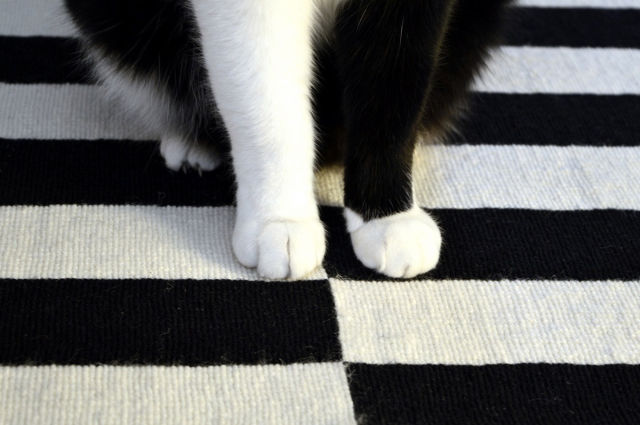 morning picdump 52 pics 46.html - 52 HD Photos | Premium Gallery 2015