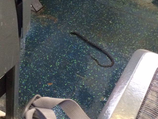 morning picdump 52 pics 46.html - 52 HD Photos | Premium Gallery 2015