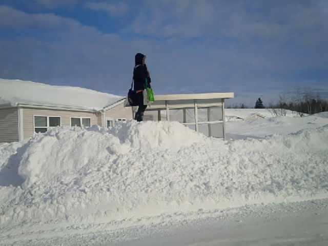 morning picdump 52 pics 46.html - 52 HD Photos | Premium Gallery 2015