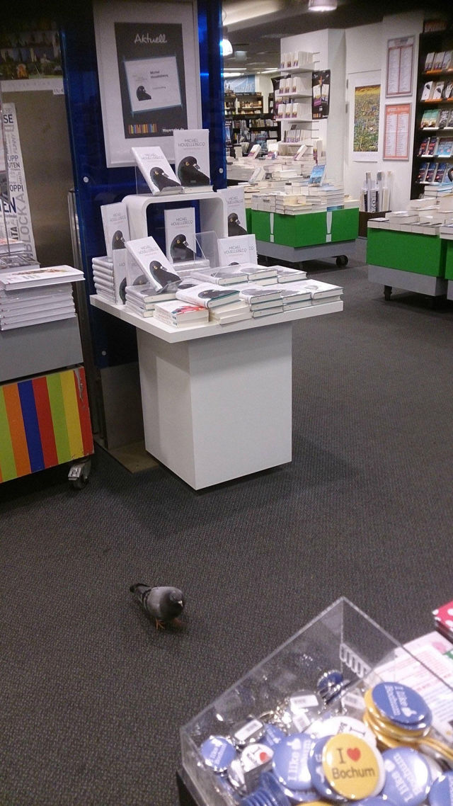 morning picdump 52 pics 46.html - 52 HD Photos | Premium Gallery 2015