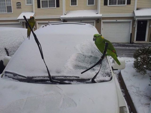 morning picdump 52 pics 10.html - 52 HD Photos | Premium Gallery 2015