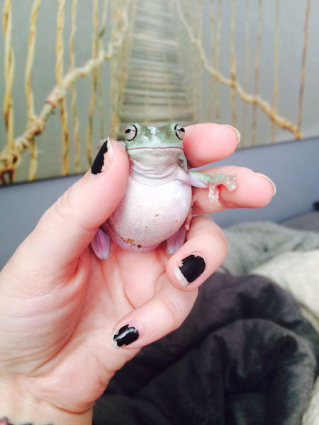 morning picdump 52 pics 10.html - 52 HD Photos | Premium Gallery 2015