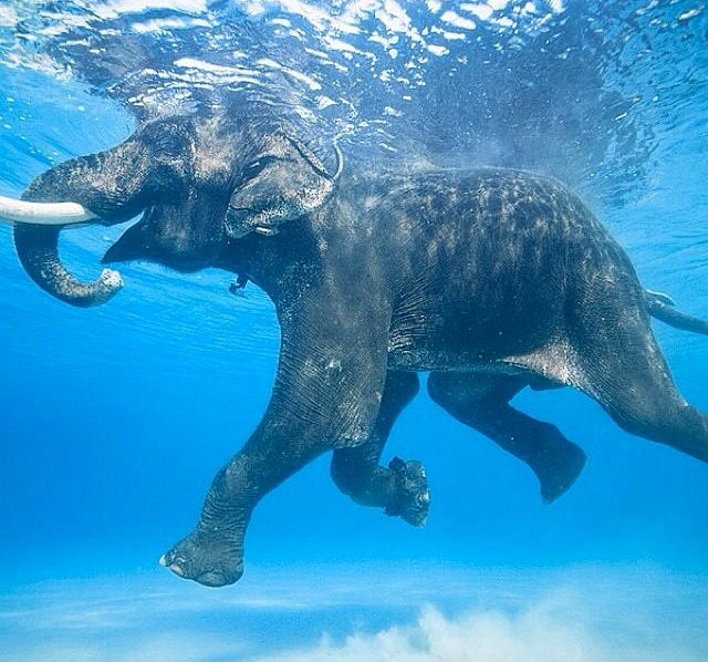 morning picdump 52 pics 10.html - 52 HD Photos | Premium Gallery 2015