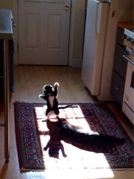 page,18,top 1500 daily pics of the year 2015.html - 1 HD Photos | Premium Gallery 2015