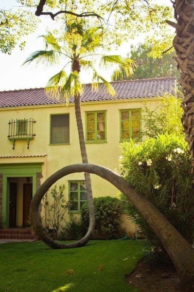 morning picdump 56 pics 3.html - 56 HD Photos | Premium Gallery 2015