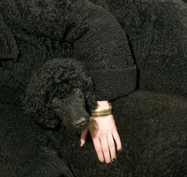 morning picdump 56 pics 3.html - 56 HD Photos | Premium Gallery 2015